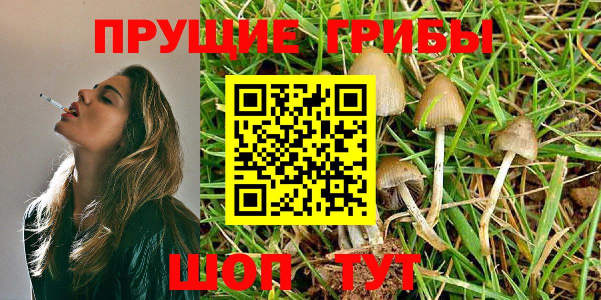 Белебей  Псилоцибиновые грибы GOLDEN TEACHER  Вход с VPN 