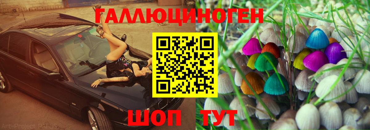 Галлюциногенные грибы GOLDEN TEACHER Белебей